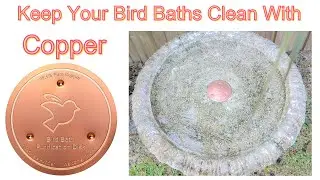 Mellbree Pure Copper Disks for Keeping Bird Baths Clean