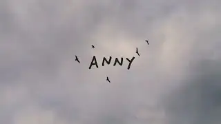 Will Knox - Anny (Official Video)
