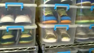 NIKE SB DUNK COLLECTION 