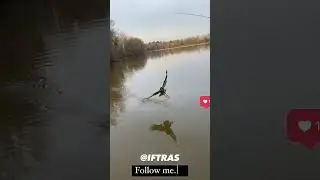 Epic Bass Fishing Adventure! Thrilling Catch with Chatterbaits