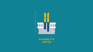 CD19-Redirected ARTEMIS T Cells