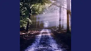 Hidden Tree