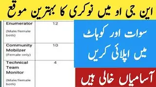 Enumerator social Mobilizer Team Monitor NGO Jobs in Swat and Kohat | Jobs in KPK Pakistan