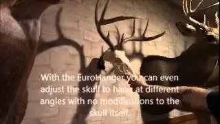 The EuroHanger European Skull hanger