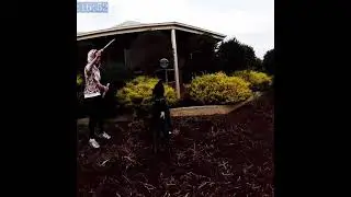 Crazy PUPPY DOG jumps 3MTRS to POP BUBBLE!!! #shorts #dogs #puppys #strongestdogever