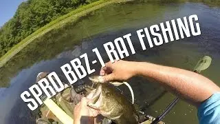 Spro BBZ-1 Rat Fishing