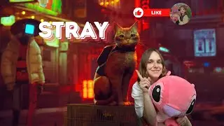 Краткий обзор на все стадии принятия ситуации в игре Stray