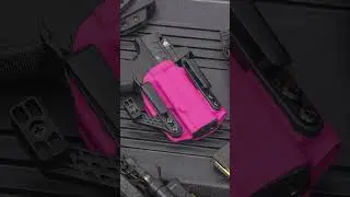 Walther PDP Appendix Holster LAS Concealment Kaizen