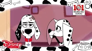 101 Dalma&ccedil;yalı Sokağı I 101 Dalma&ccedil;yalı Ailesiyle Tanışın! I Disney Channel T&uuml;rkiye