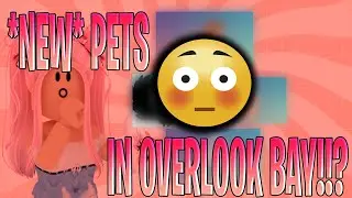 *SOON* pets in Overlook bay! 👀🤔