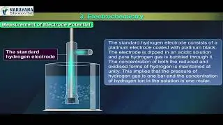 ELECTROCHEMISTRY in One Shot | Class 12 Chemistry Chapter 2 | NEET & JEE 2025 | 3D Animated Revision