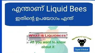 What is Liquidbees and its Benefit | ETF | Niftybees