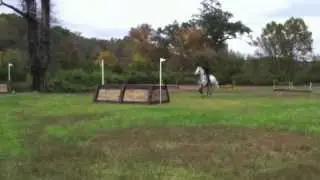 Nicole Doolittle and Nemo trial
