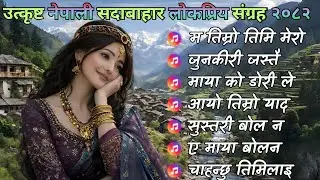 💞 Best Nepali Love Lok Geet 2025 🇳🇵 | Romantic & Evergreen Folk Songs 🎶