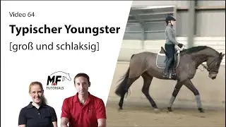 [64] Jungpferdeausbildung | groß, schlaksig, unbeholfen | 