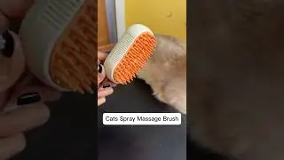 Pet Cats Spray Massage Comb Grooming Brush #cats #bruh #petproductreviews #petaccessories #shorts