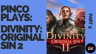 Pinco Plays Divinity: Original Sin 2, pt. 9