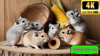 Cat TV Mouse Hunt | Real Mice Run & Hide in Grain Bags | 3 Hours 4K Ultra HD Entertainment for Cats