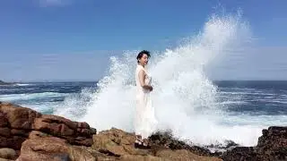 共犯互害社会讲座互动(2016)  2：如何破解共犯互害
