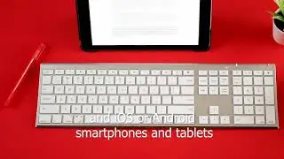 Macally Wireless Bluetooth Keyboard with Numeric Keypad for Laptops, Computers (Apple: Mac,  Reviews