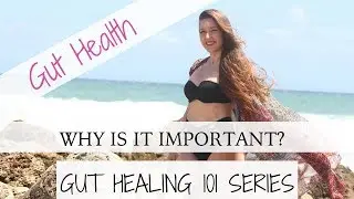 GUT HEALTH BASICS | GUT HEALING 101