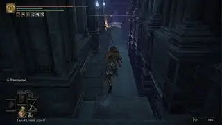 Decaying Ekzykes Bossfight - Elden Ring