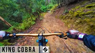 King Cobra | RAW Run | Maydena Bikepark