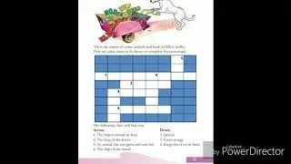 STD 3 English BILLU the Dog.Activities.