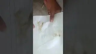 Invisible writing science Experiment #shorts #scienceexperiment #viral #trending #experiment