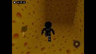 Rat chase