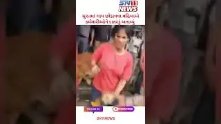 સુરતમાં ગાય છોડાવવા મહિલાએ #breakingnews #news #newsupdate #brekingnews #viralnews #suratnews #smc