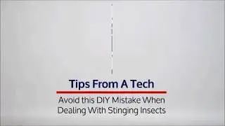 Tips from a Tech - Avoid this DIY Fail with Stinging Insects