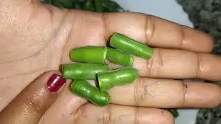 रामफली की सब्जी | Tasty and Delicious Ram Phali Sabji Recipe in Hindi | Indian Recipes