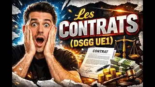 LES CONTRATS (DSCG UE1)