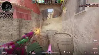 CS2 SOLO UNIT (lvl10 clips)