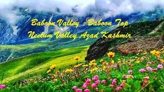 Baboon Valley   Baboon Top Neelum Valley Azad Kashmir   Jeep Track Off Road   Explore Pakistan