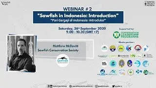 Sawfish Talk #2 