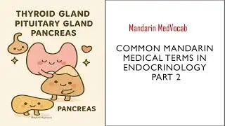 Common Medical Terms for endocrine system in Chinese Part 2