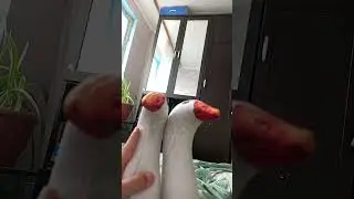 биба и боба #блоптоп #захаркрамблкуки #zakhar #кокос #crumblcookies