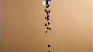 GinAro Beroll
