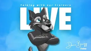 A Magic Moment in Dog Training