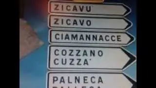 claudia  palneca