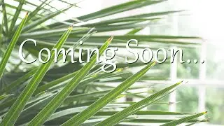 Coming Soon... | Lydia Ravenhall Photography