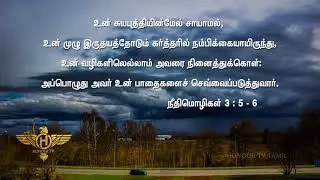 PROV 3 5 6