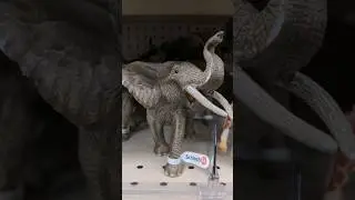 Wil animal toys collection from Schleich! #schleich #toys #dolls #elephant #giraffe #deer