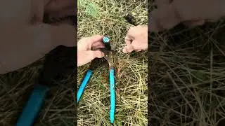 How to replace a sprinkler nozzle #sprinklersystem #protips  #landscaper