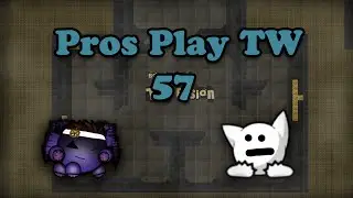 DDNet - Pros Play TW 57: The Shitfly Champions!