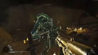 Witchfire - Shadowmist not phasing