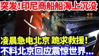 突发！印尼商船船海上沉没！凌晨急电北京，跪求救援！不料北京回应震惊世界...#璀璨东方 #科普 #海南 #货船 #印尼