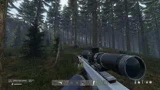 DayZ 1.14 Narcos - Bear Stalking with a Barrett M82 .50BMG